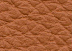 Swatch image for Atlantic 511 orange